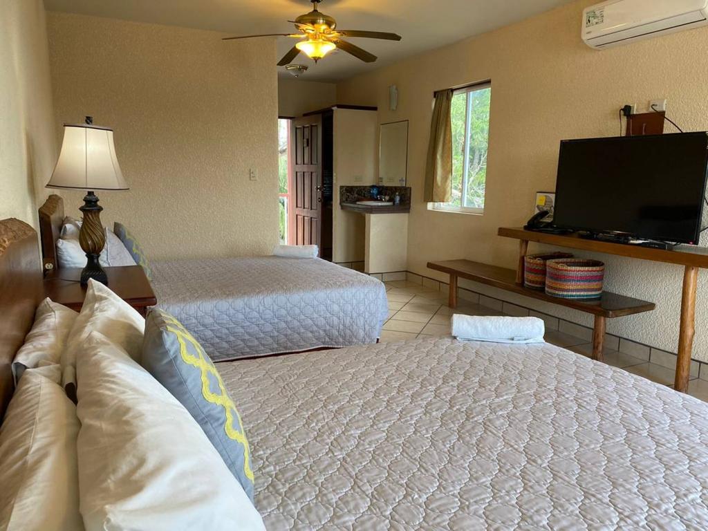 listing image with ID 66725