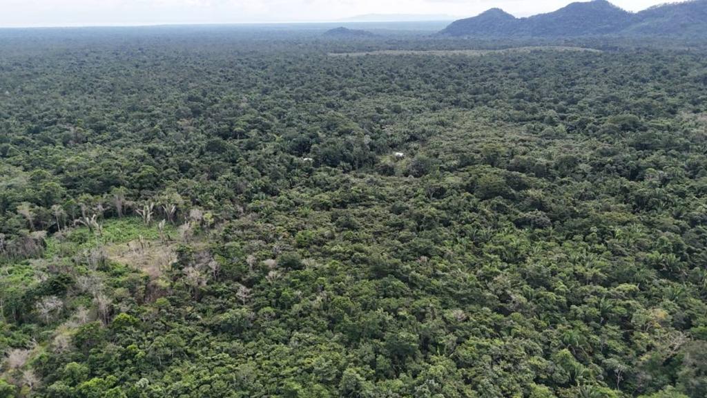 listing image with ID 66558