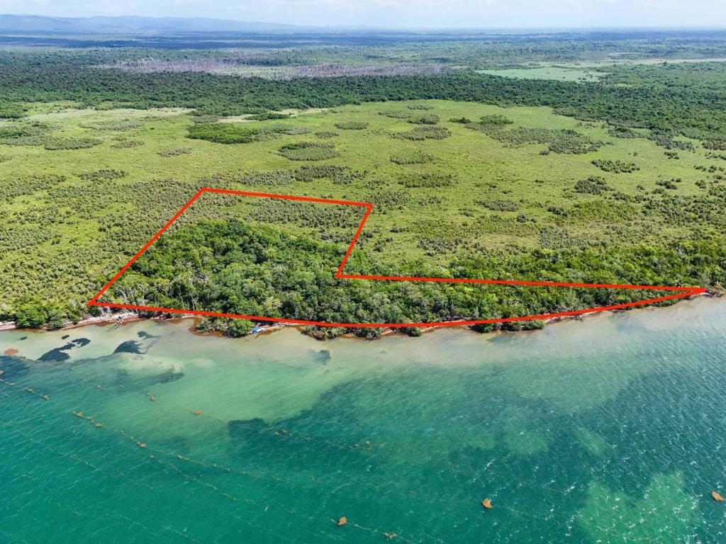 listing image with ID 63731