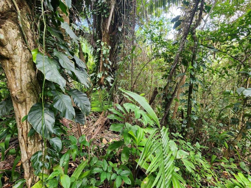 listing image with ID 69211