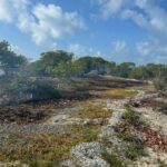 listing image thumbnail with ID 68341