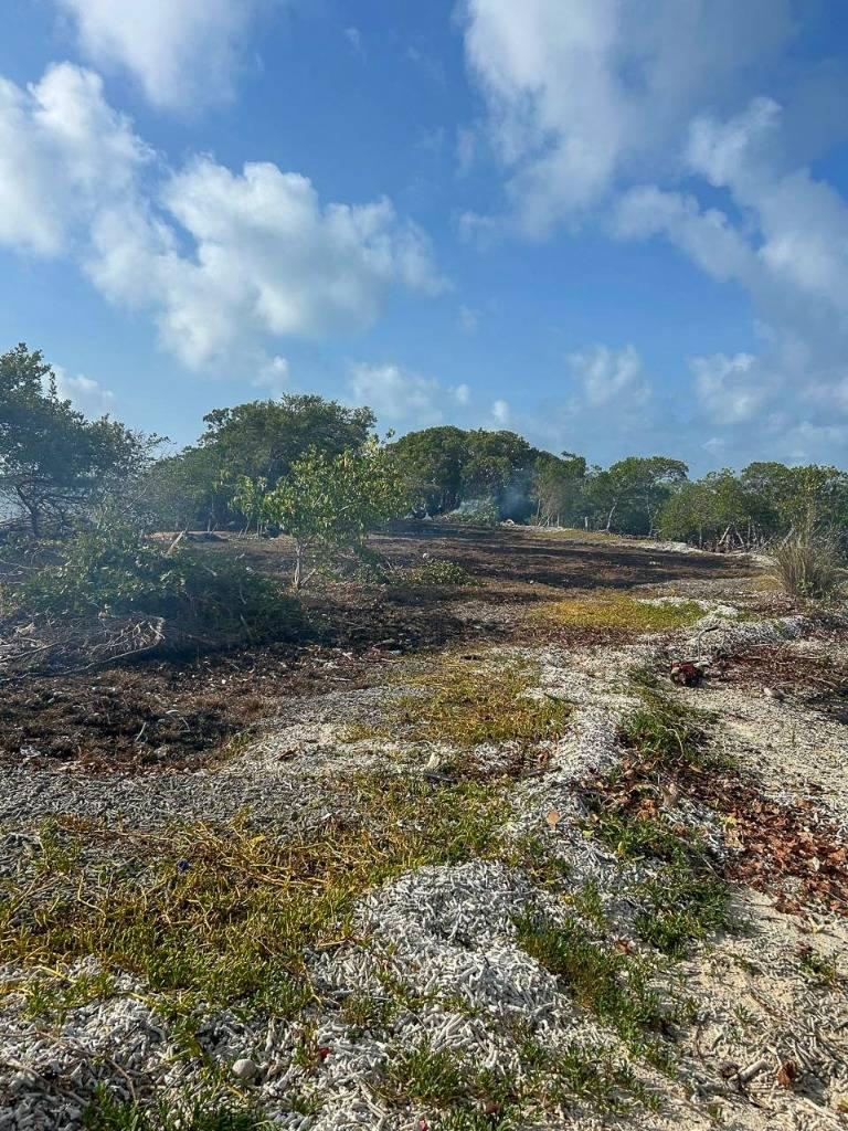 listing image with ID 68341