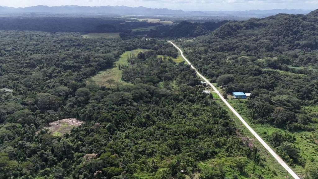 listing image with ID 66151