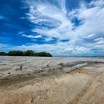 listing image thumbnail with ID 67595