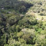 listing image thumbnail with ID 64244