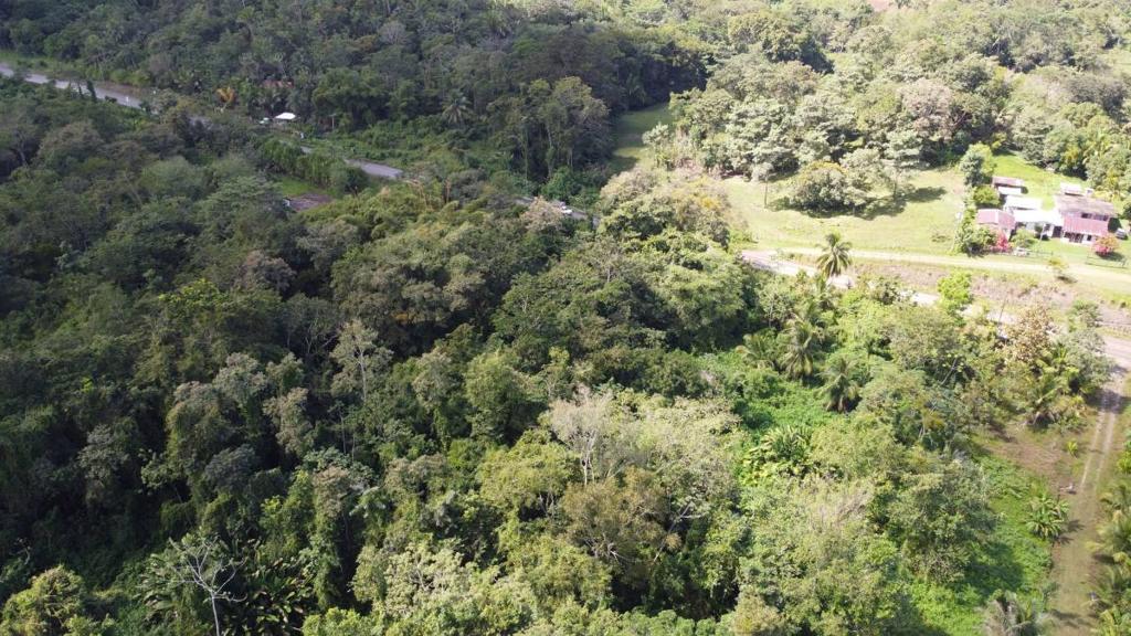 listing image with ID 64244