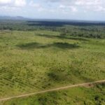 listing image thumbnail with ID 68131