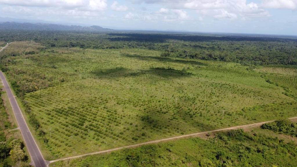 listing image with ID 68131