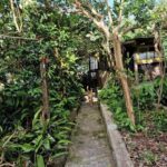 listing image thumbnail with ID 64098