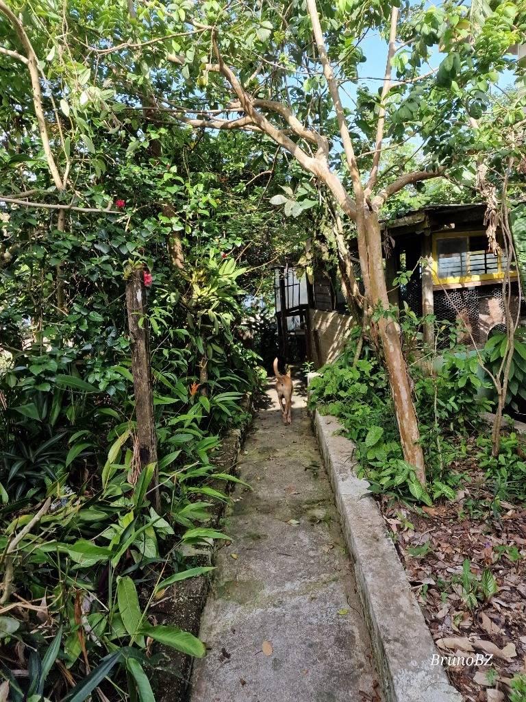 listing image with ID 64098