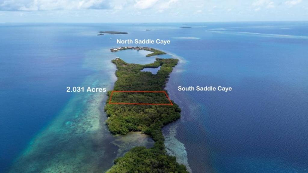 listing image with ID 65069