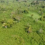 listing image thumbnail with ID 64182