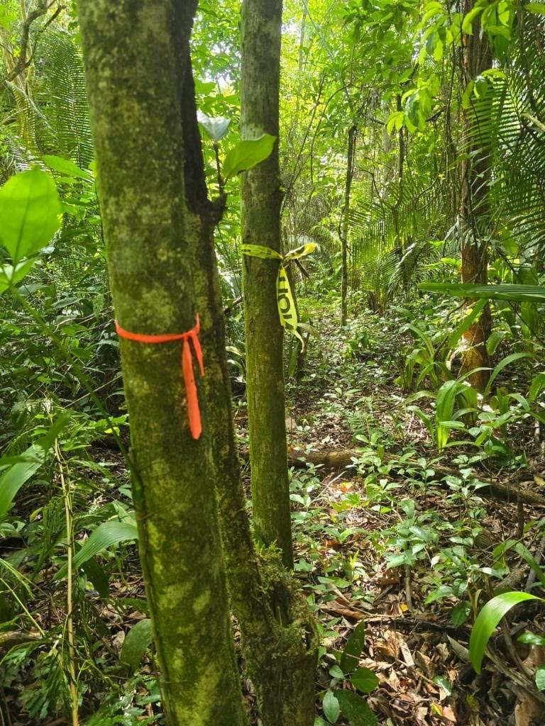 listing image with ID 67084