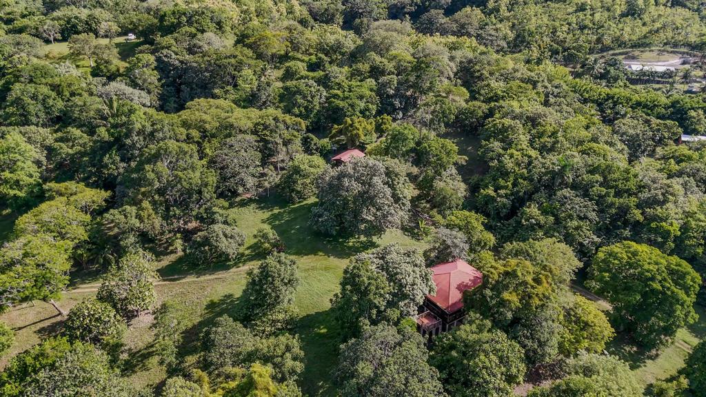 listing image with ID 68472