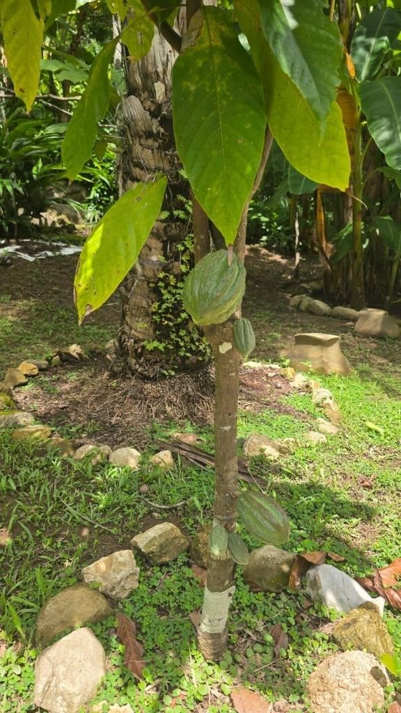 listing image with ID 65882