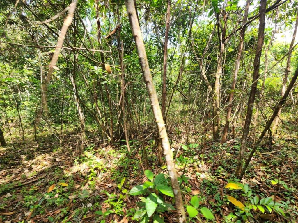 listing image with ID 69209