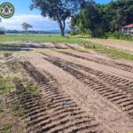 listing image thumbnail with ID 68414