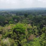 listing image thumbnail with ID 69191