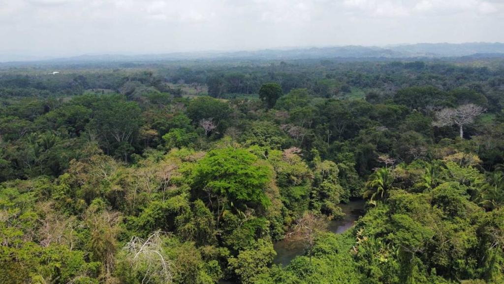 listing image with ID 69191