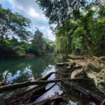 listing image thumbnail with ID 64855