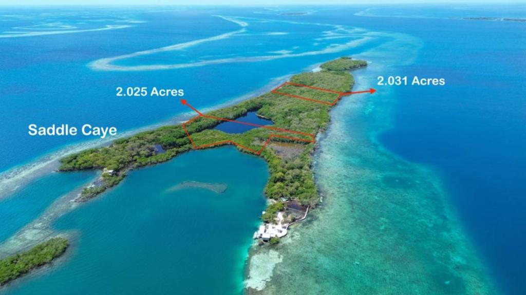 listing image with ID 65835