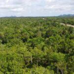 listing image thumbnail with ID 63953