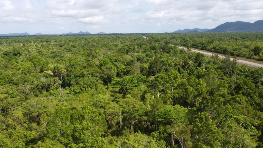 listing image with ID 63953