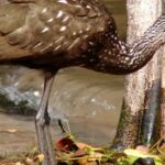 listing image thumbnail with ID 67460