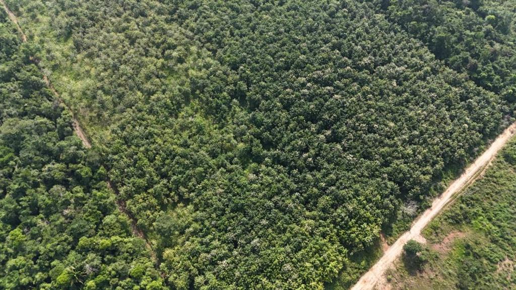 listing image with ID 68064