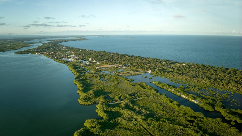 listing image with ID 68722