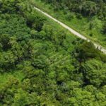 listing image thumbnail with ID 68288