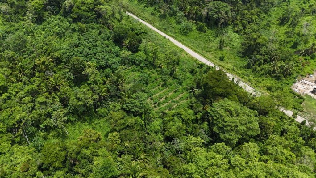 listing image with ID 68288