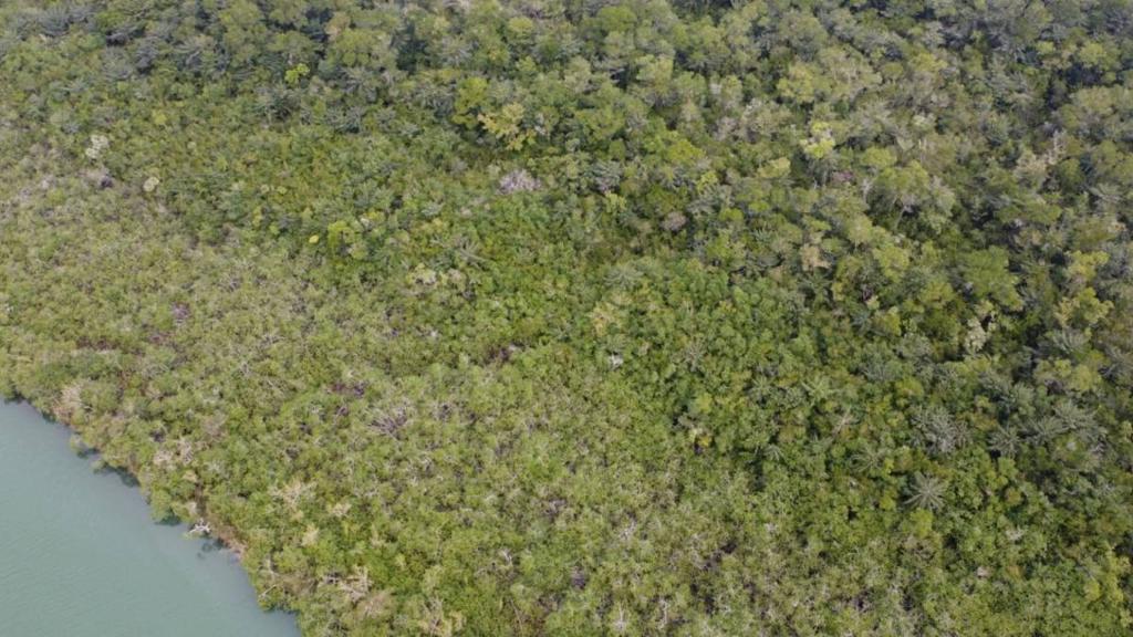 listing image with ID 67839