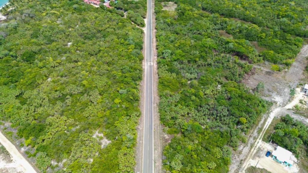 listing image with ID 67336