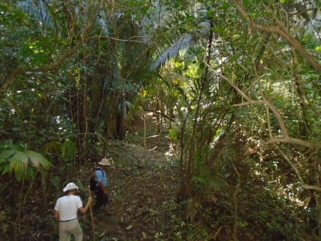 listing image with ID 64070