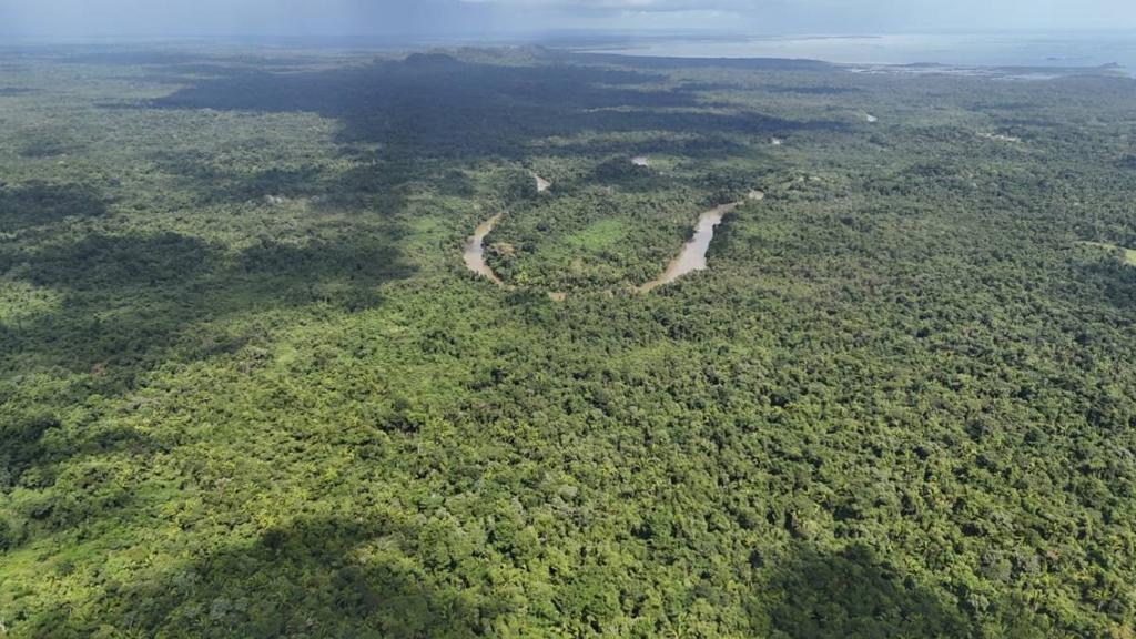 listing image with ID 65457