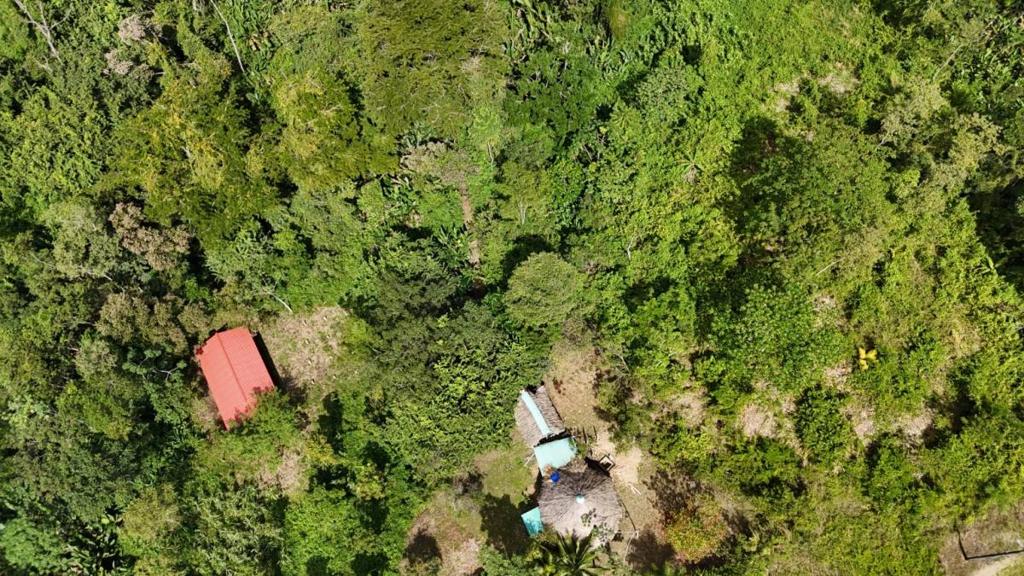 listing image with ID 66142