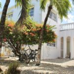 listing image thumbnail with ID 67105