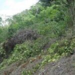 listing image thumbnail with ID 65637