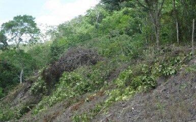 listing image with ID 65637