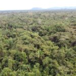 listing image thumbnail with ID 65046