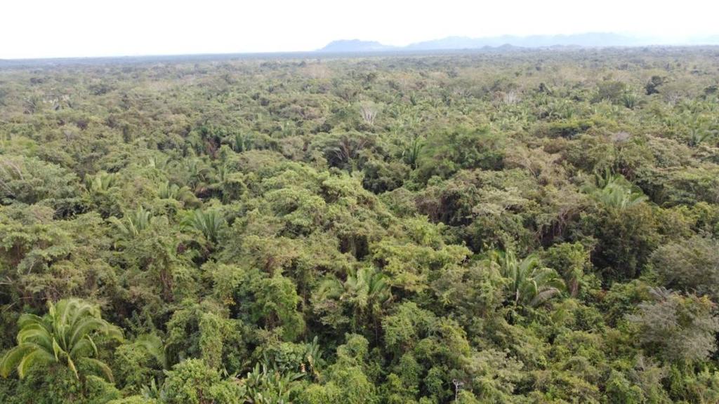 listing image with ID 65046