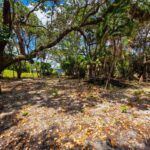 listing image thumbnail with ID 65814