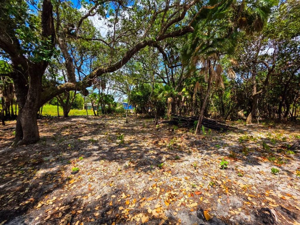 listing image with ID 65814