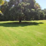 listing image thumbnail with ID 67745