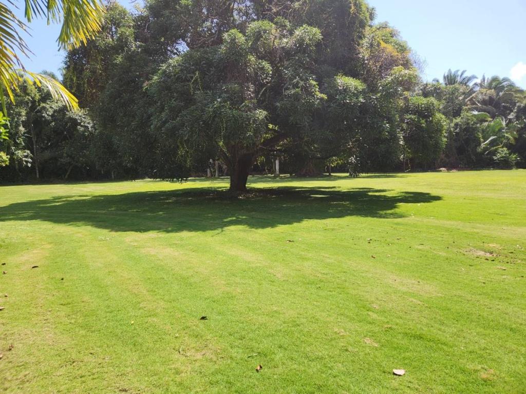 listing image with ID 67745