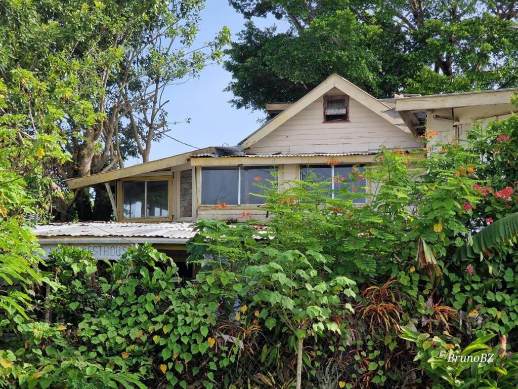 listing image with ID 64082