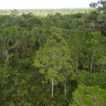 listing image thumbnail with ID 63941