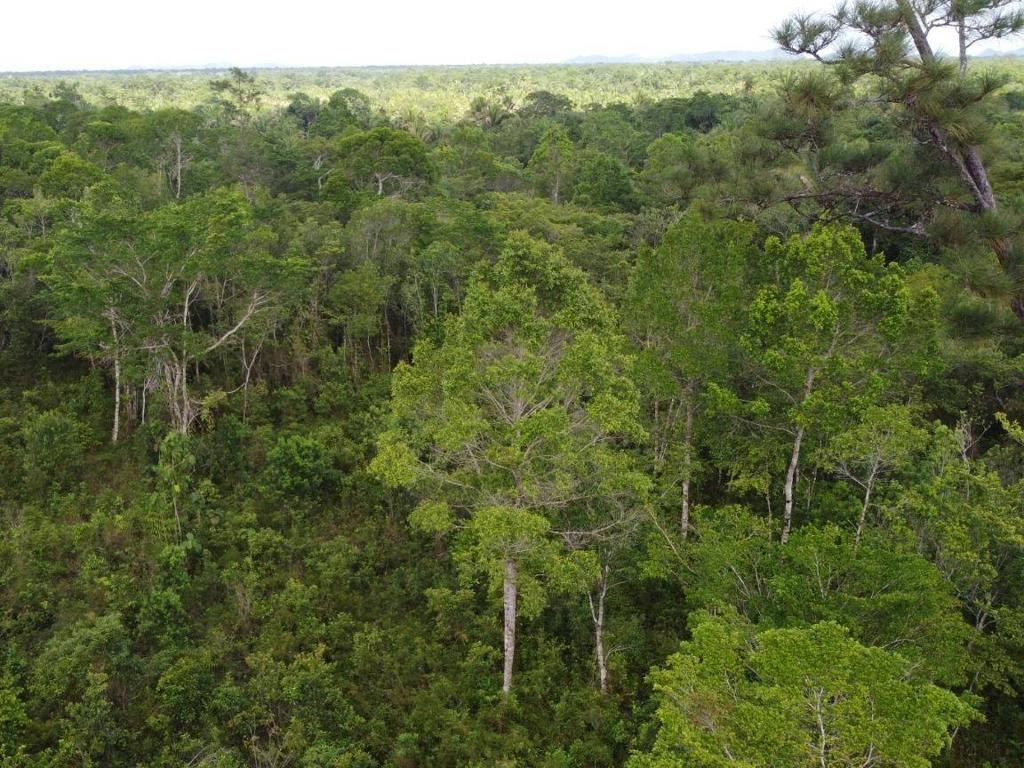 listing image with ID 63941