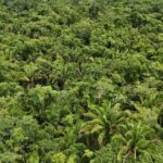 listing image thumbnail with ID 66675